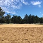 Equestrian Facility Construction